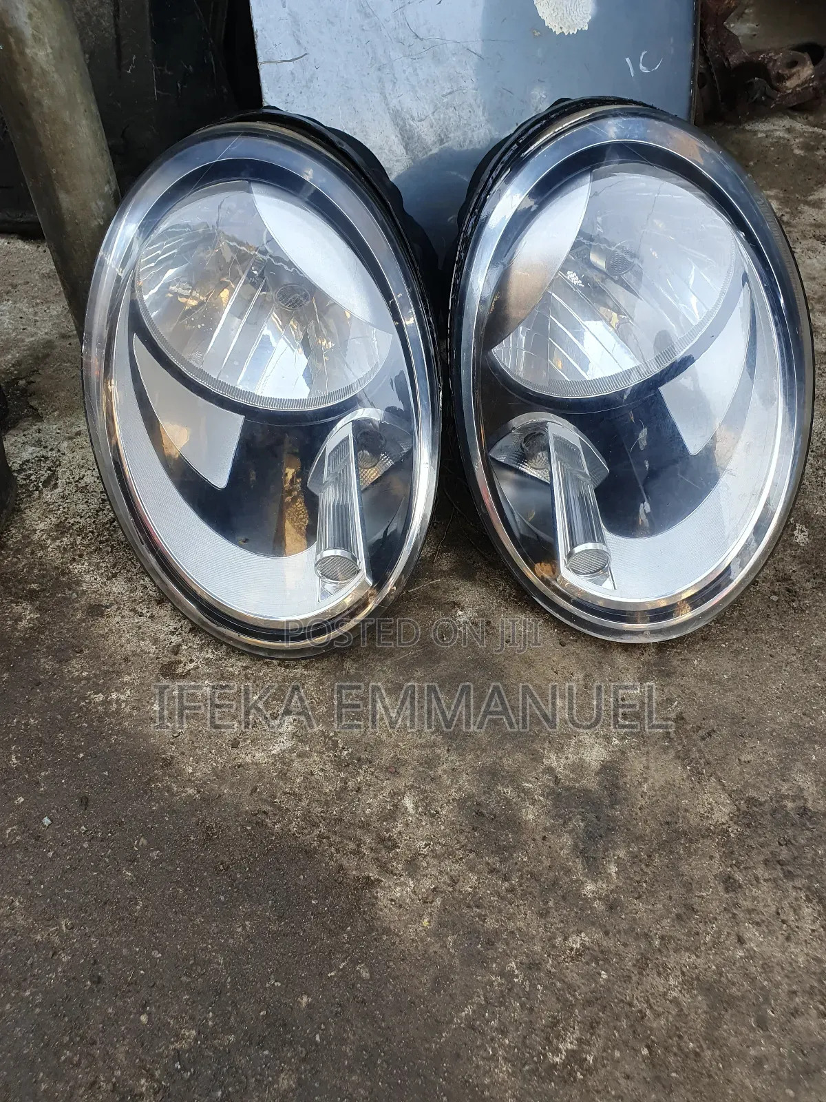 Head Light Bettle