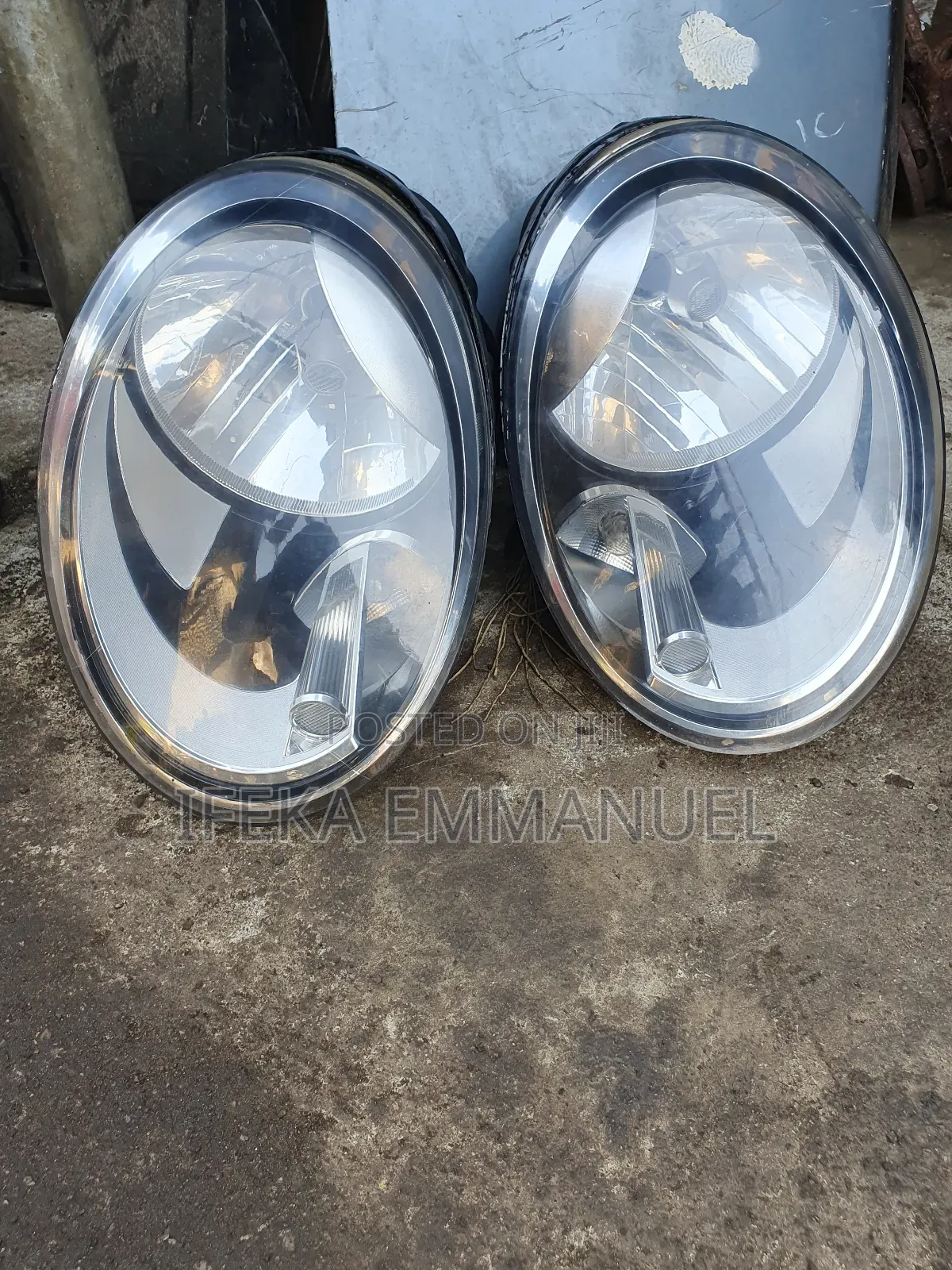 Head Light Bettle