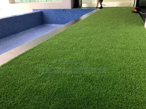 Carpet Gras for Lobby and Corner Piece
