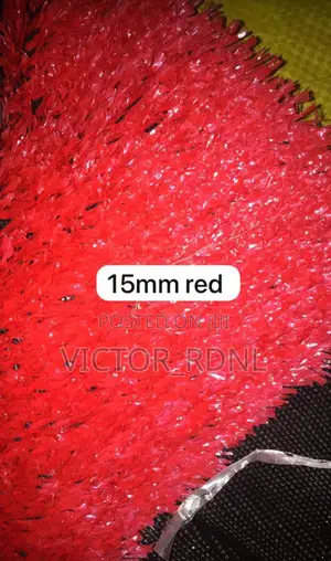 Colored Carpet Grass Available With Installation