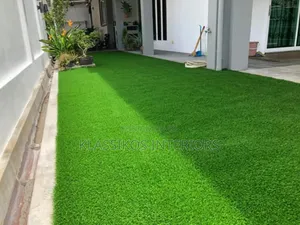 Executive Carpet Grass for Your Front Yard