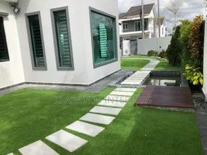 King's Luxury Carpet Grass for Your Homes