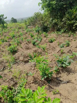 A Plots for Sale at Cannal City Winners
