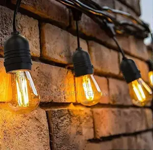 Multiple Bulbs Hanging Light