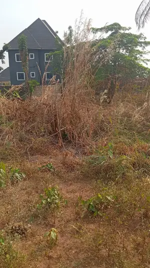 One Plot of Land for Sale at Nkwelle Àwka