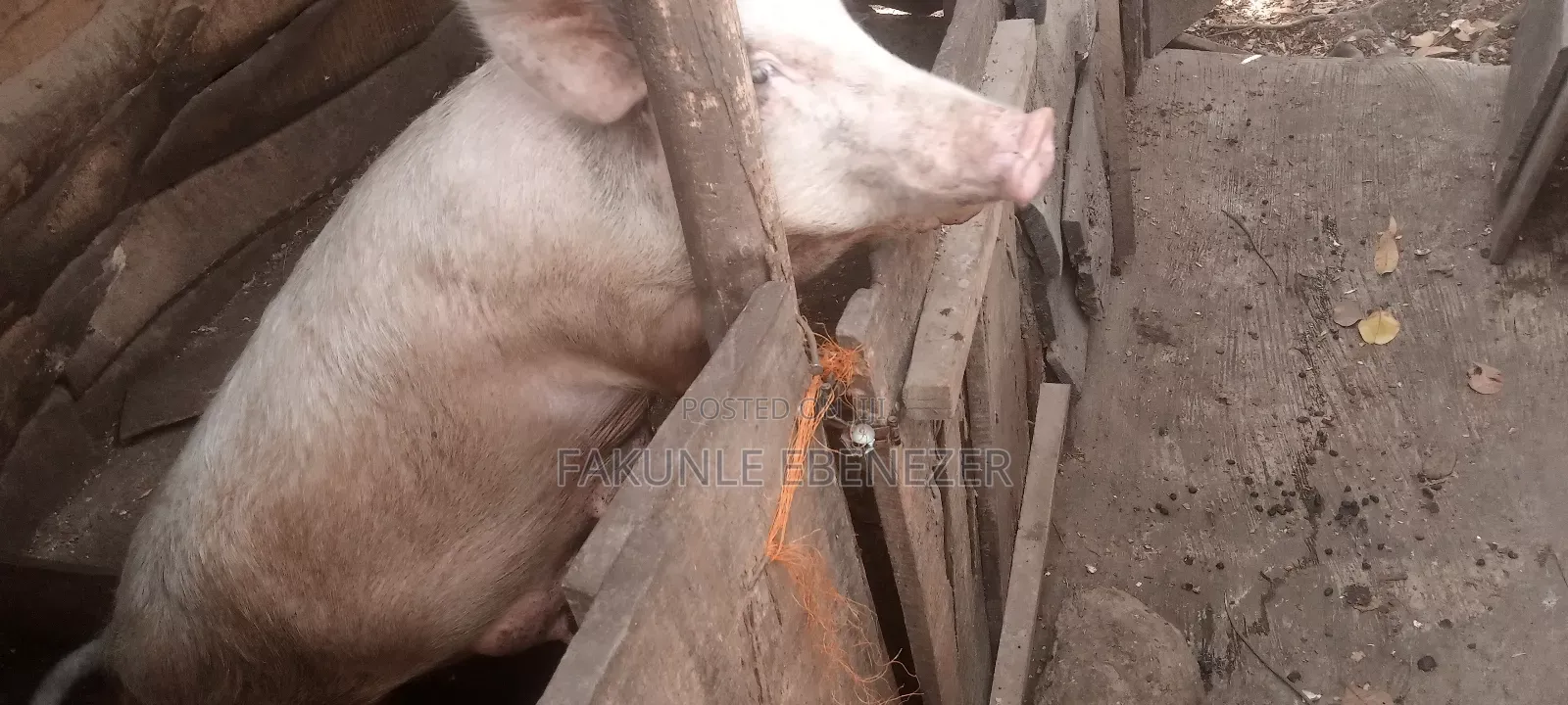 Farm Supervisor