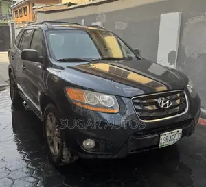 Hyundai Santa Fe SE 2010 Gray