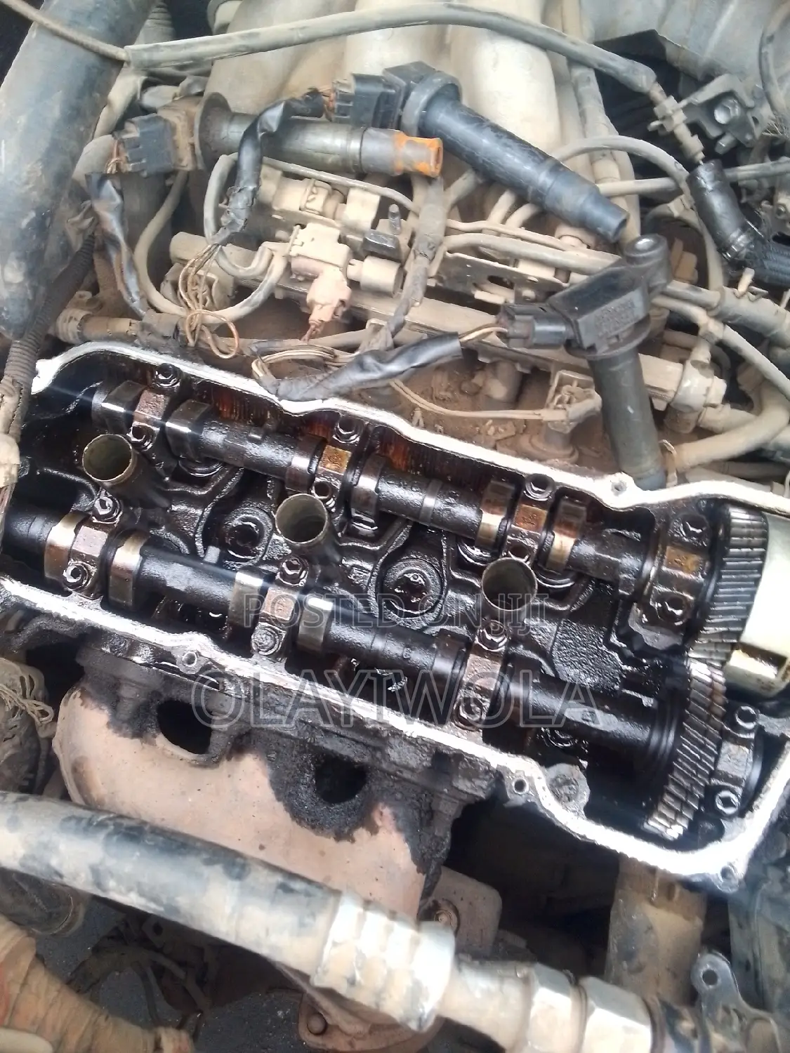 Ford Mechanic Specialized