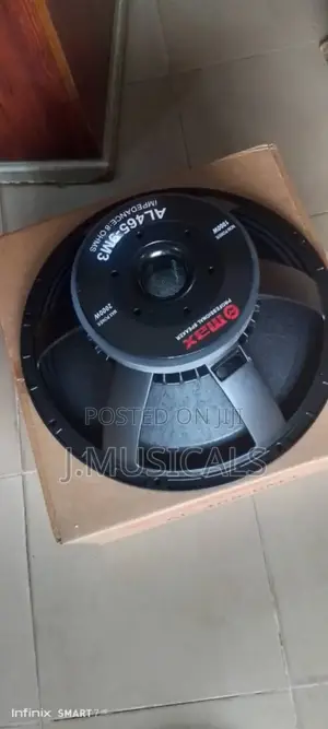 18 Inch Subwoofer Naked Speakers
