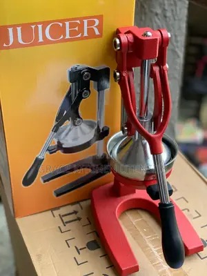 Commercial Standing Juicer Extractor