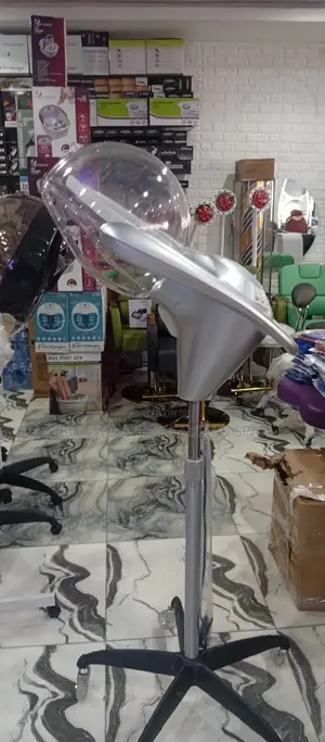 Micro Mist Standing Steamer