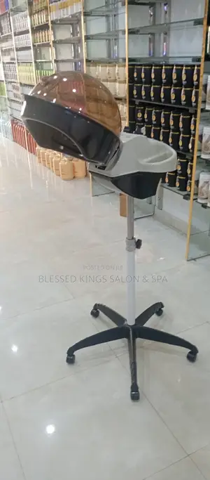 Standing Hair Steamer