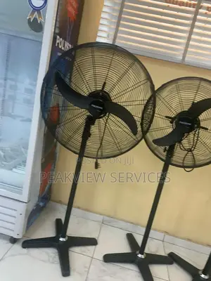 Cheapest Polystar PV-18NDB Industrial Standing Fan 18-Inches