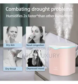 2L Double Spray Humidifiers LED Light Pink