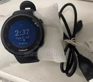 Garmin Forerunner 45