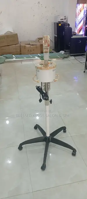 Original Facial Steamer