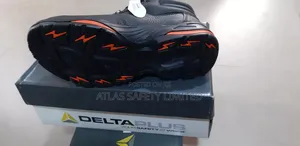 Deltaplus Simba