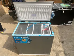 Quality Nexus Inverter Freezer 250liters With Glass