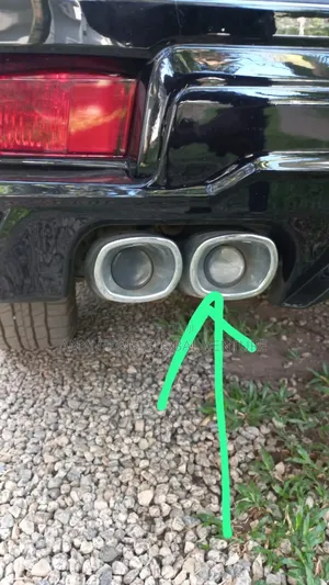 Prado Padded Muffler
