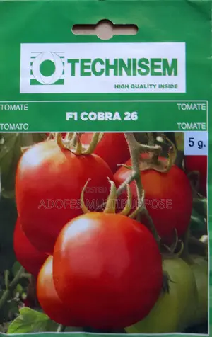 F1 Tomatoes Seeds Cobra 26 5g