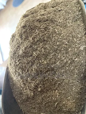 Lemon Balm Powder 100g