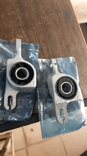Lower Arm Bushings for Mercedes Benz Ml350 (W166)
