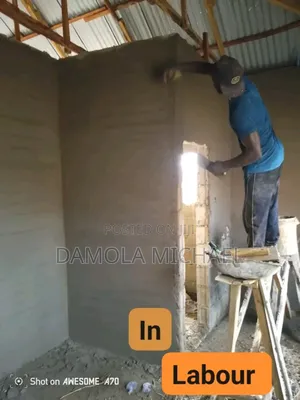 Professional Bricklayer and Tiler