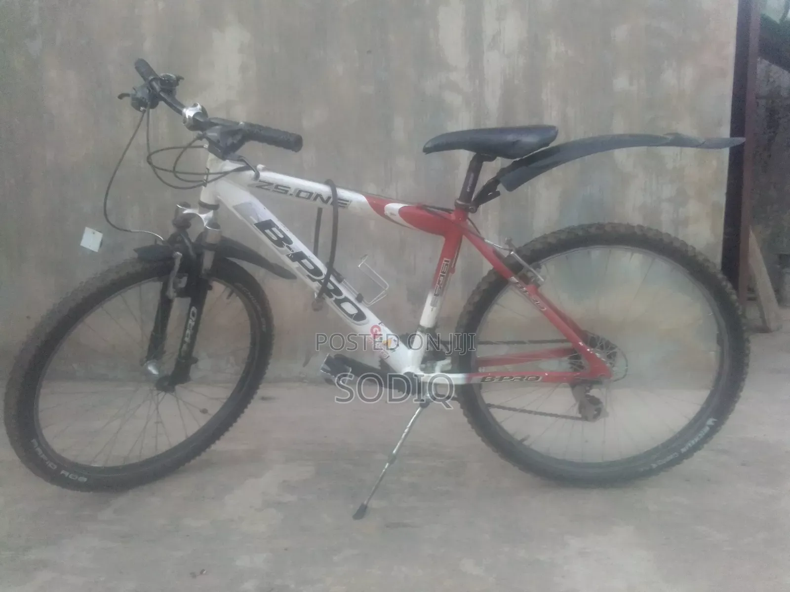 Clean Sport Bicycle