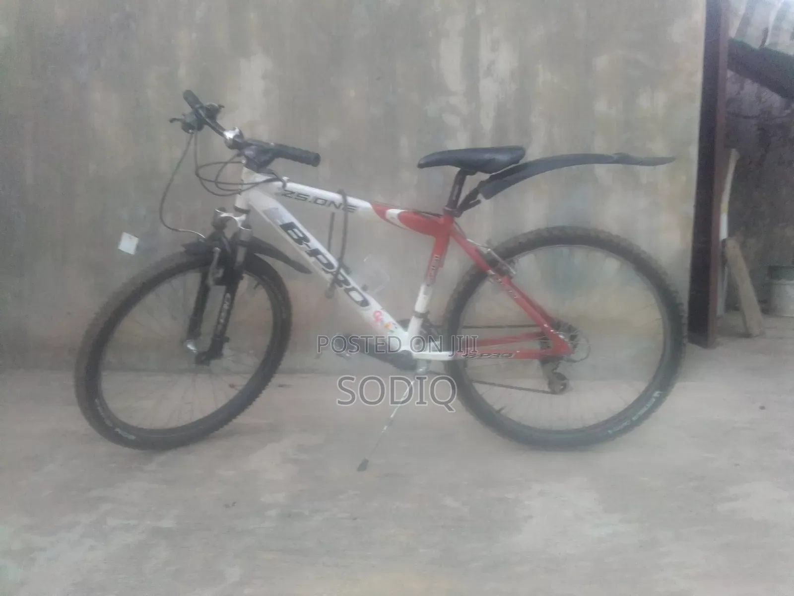 Clean Sport Bicycle