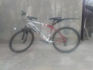 Clean Sport Bicycle