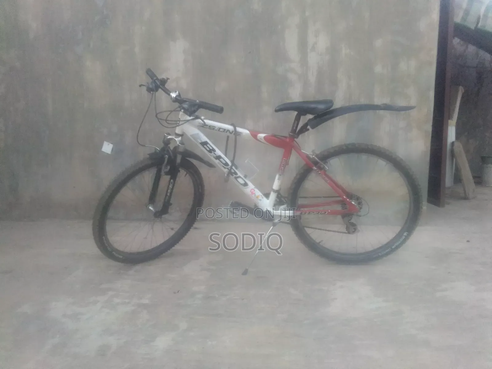 Clean Sport Bicycle