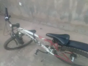 Clean Sport Bicycle