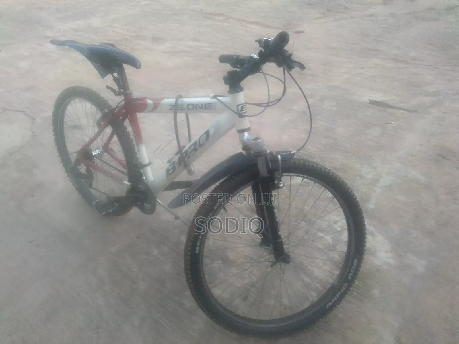 Clean Sport Bicycle