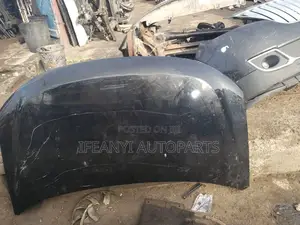 Bonnet for Ford Edge