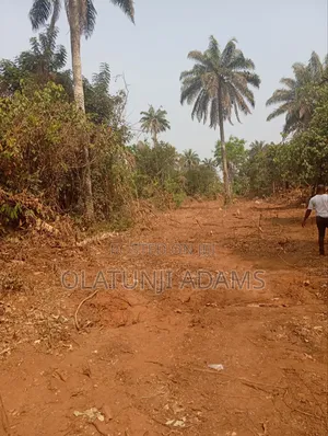Plots of Land at Papanla After Alatorin Okinni