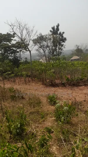 Massive Land for Sale at Different Locations Akure