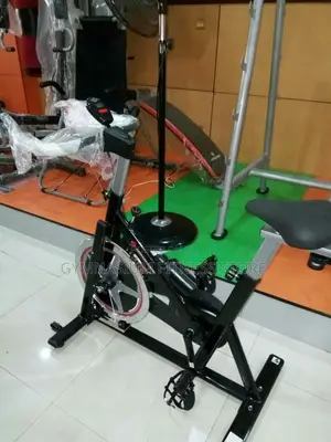 Spinning Bike Brown Colour