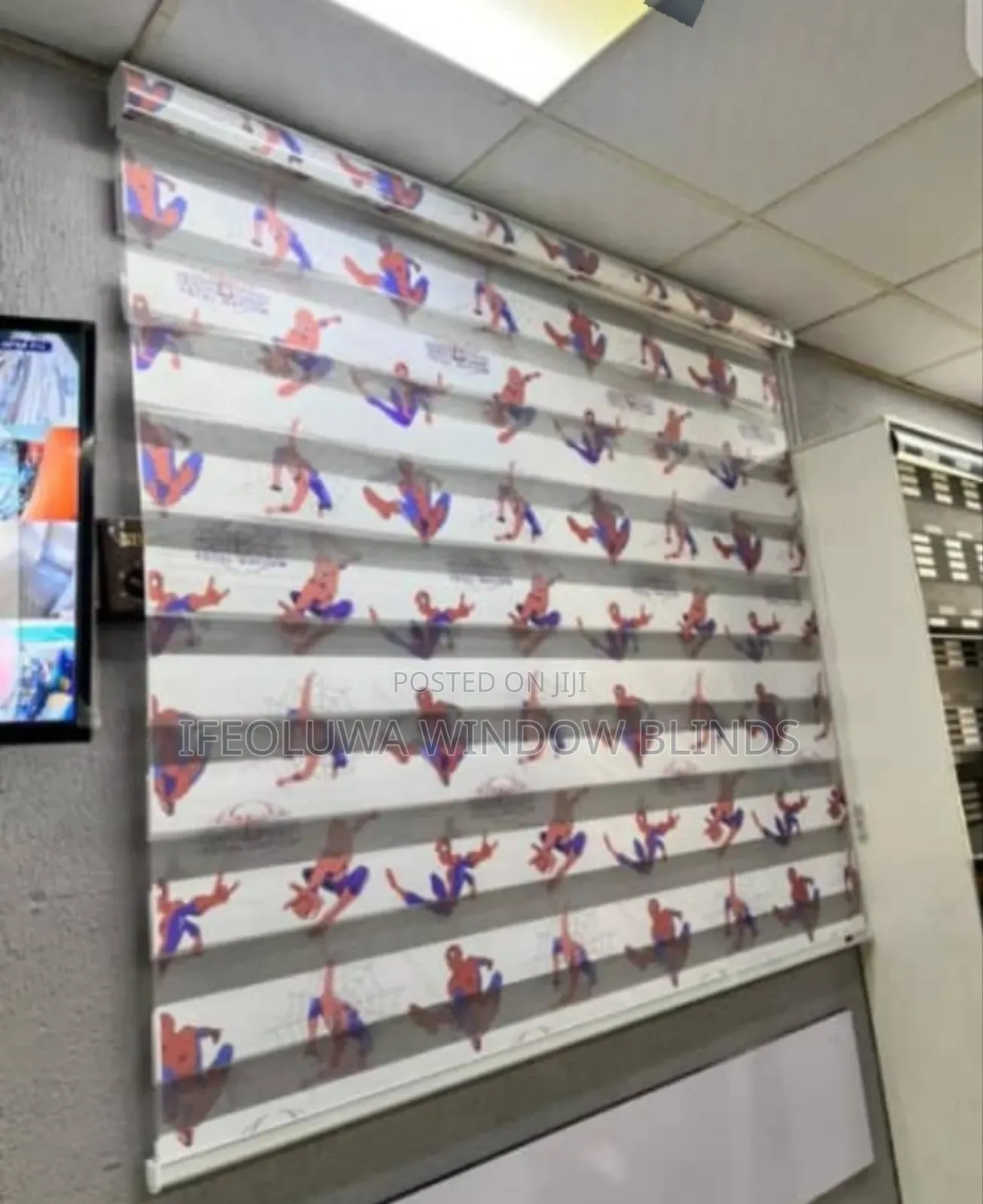 Special Character Day And Night Blinds