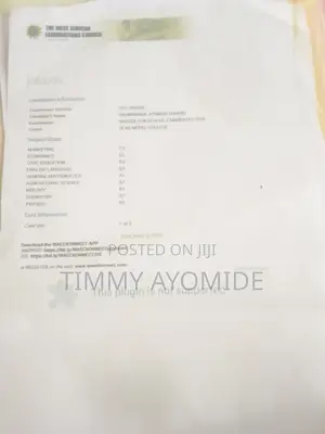 Advertising Marketing CV