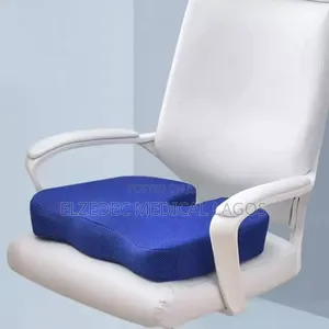 Coccyx Cushion Chair