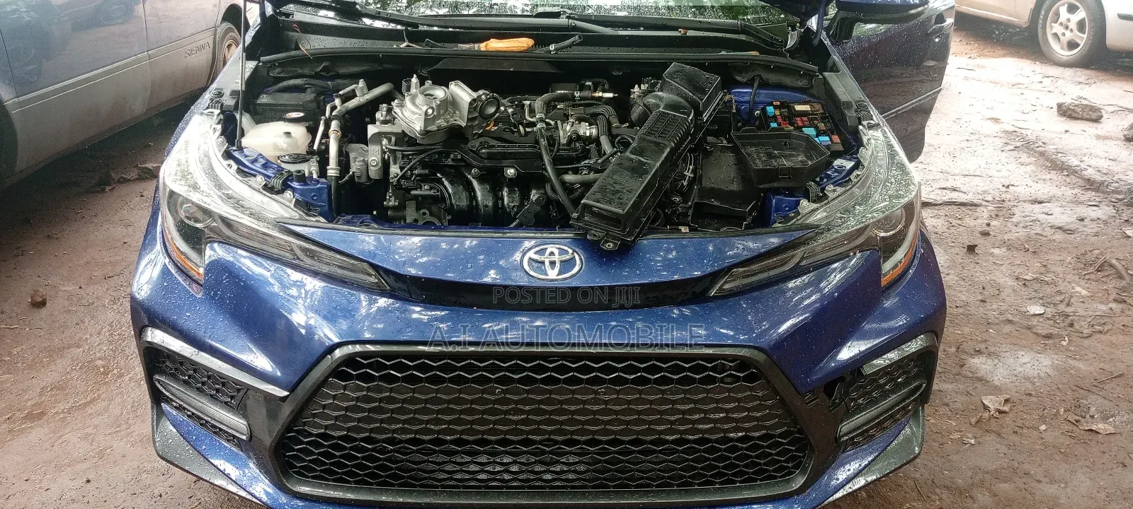 Toyota and Lexus Mechanic