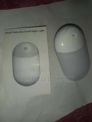 Smart Induction Small Night Light