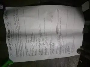 Housekeeping Cleaning CV