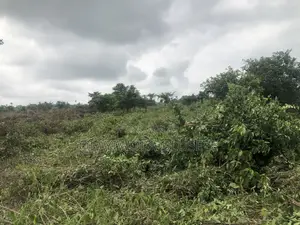 Agricultural Farmland Off Sagamu-Abeokuta Expressway