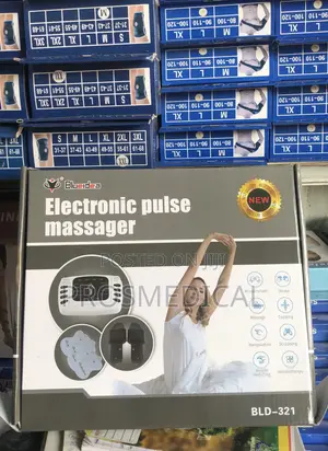 Electronic Pulse Massager