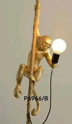 Monkey Light