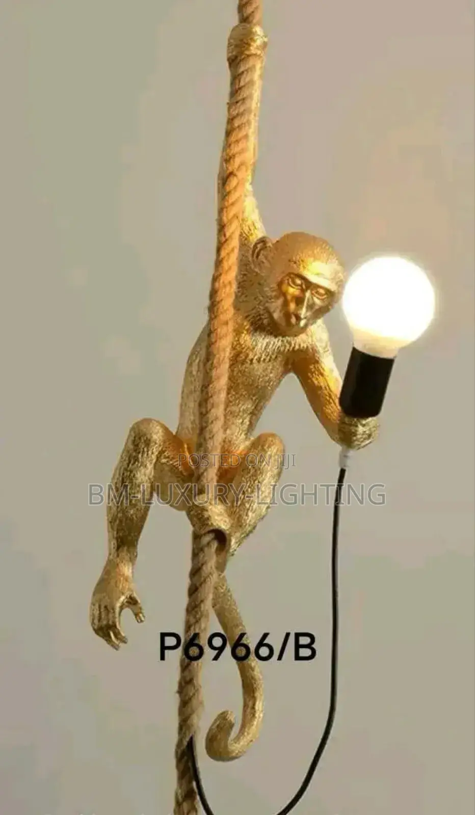 Monkey Light