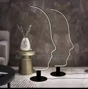 Led Floor Lamp Light