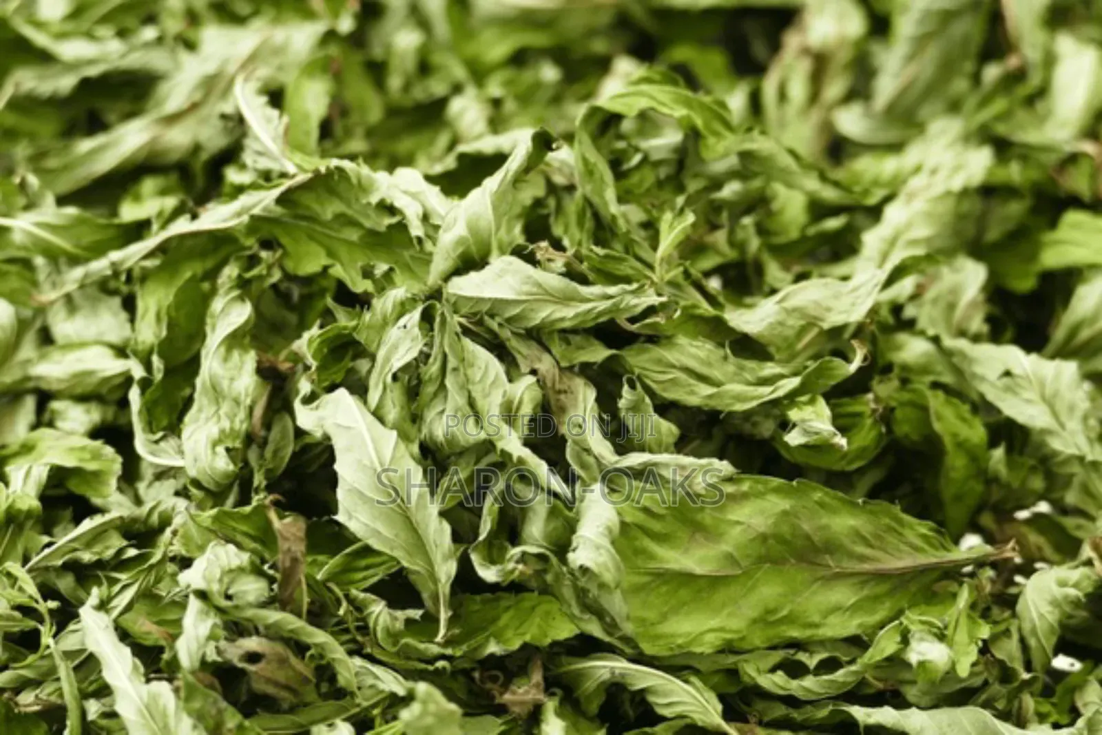 Spearmint Leaf 1kg