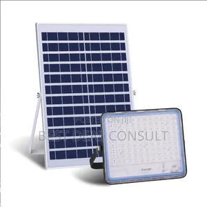 Big Panel Solar Flood Light